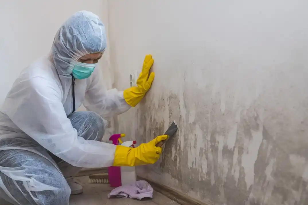 water damage restoration service Port Richmond